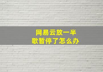 网易云放一半歌暂停了怎么办