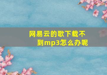 网易云的歌下载不到mp3怎么办呢