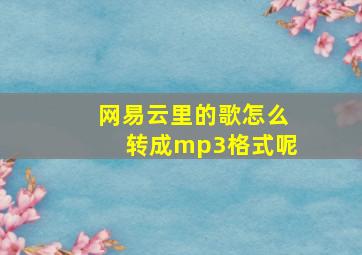 网易云里的歌怎么转成mp3格式呢