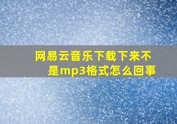 网易云音乐下载下来不是mp3格式怎么回事