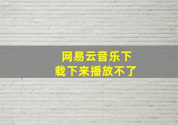 网易云音乐下载下来播放不了