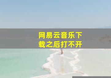 网易云音乐下载之后打不开