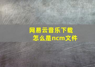 网易云音乐下载怎么是ncm文件