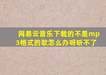 网易云音乐下载的不是mp3格式的歌怎么办呀听不了