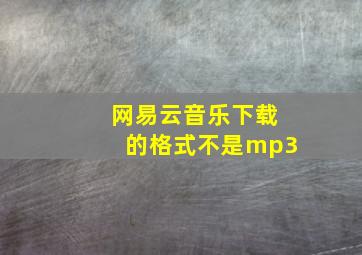 网易云音乐下载的格式不是mp3