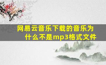 网易云音乐下载的音乐为什么不是mp3格式文件