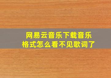 网易云音乐下载音乐格式怎么看不见歌词了