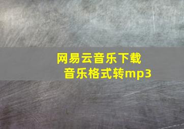 网易云音乐下载音乐格式转mp3