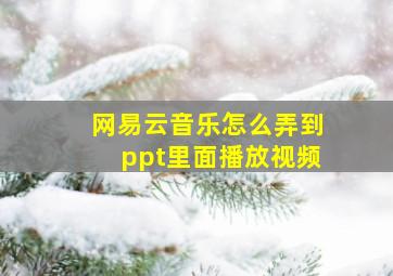 网易云音乐怎么弄到ppt里面播放视频