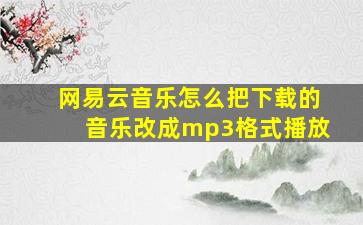 网易云音乐怎么把下载的音乐改成mp3格式播放