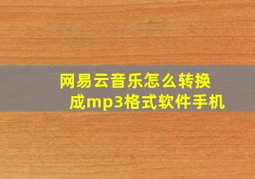 网易云音乐怎么转换成mp3格式软件手机