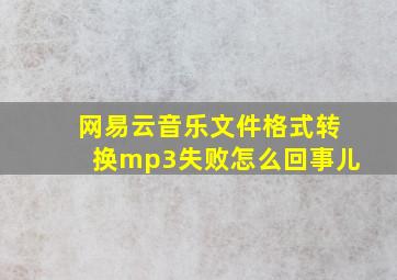 网易云音乐文件格式转换mp3失败怎么回事儿