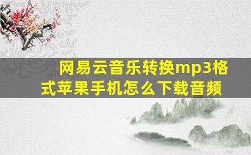 网易云音乐转换mp3格式苹果手机怎么下载音频