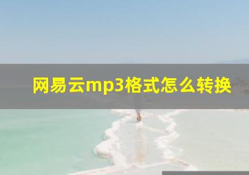 网易云mp3格式怎么转换