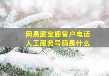 网易藏宝阁客户电话人工服务号码是什么