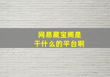 网易藏宝阁是干什么的平台啊