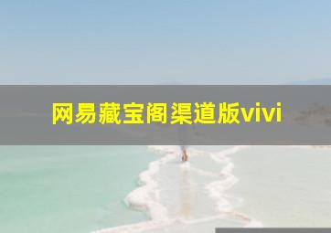 网易藏宝阁渠道版vivi