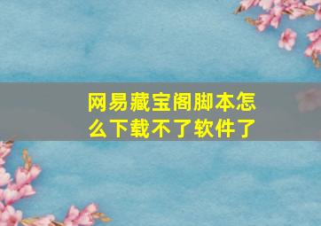 网易藏宝阁脚本怎么下载不了软件了