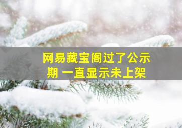 网易藏宝阁过了公示期 一直显示未上架