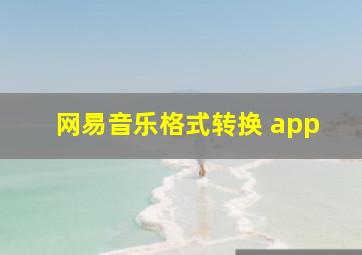 网易音乐格式转换 app