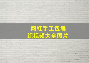 网红手工包编织视频大全图片