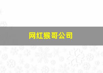 网红猴哥公司