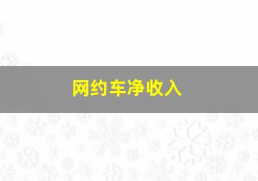 网约车净收入