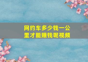 网约车多少钱一公里才能赚钱呢视频