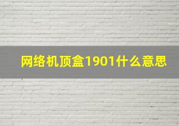 网络机顶盒1901什么意思