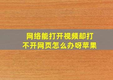 网络能打开视频却打不开网页怎么办呀苹果