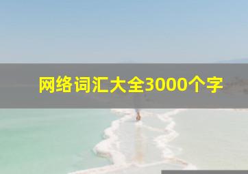 网络词汇大全3000个字