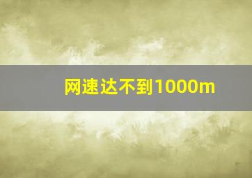 网速达不到1000m