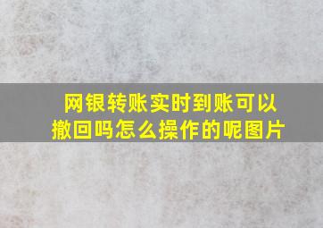 网银转账实时到账可以撤回吗怎么操作的呢图片