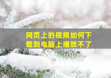 网页上的视频如何下载到电脑上播放不了