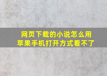 网页下载的小说怎么用苹果手机打开方式看不了