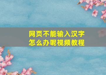 网页不能输入汉字怎么办呢视频教程