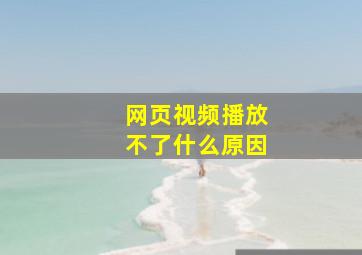 网页视频播放不了什么原因