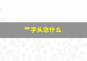 罒字头念什么