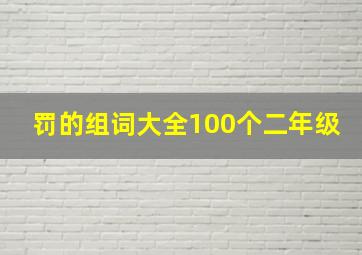 罚的组词大全100个二年级