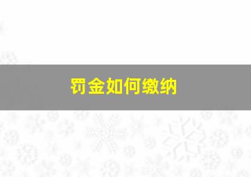 罚金如何缴纳