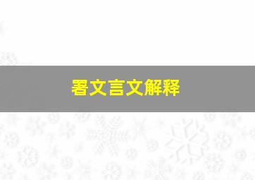 署文言文解释