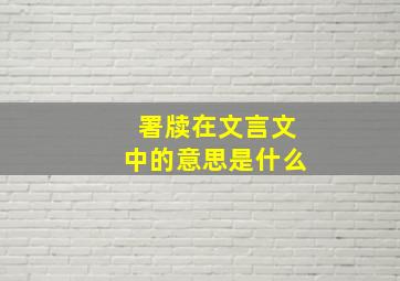 署牍在文言文中的意思是什么