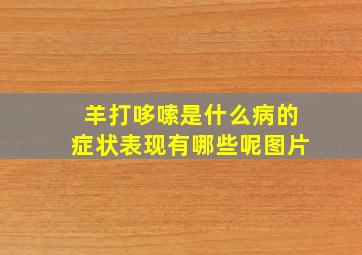 羊打哆嗦是什么病的症状表现有哪些呢图片