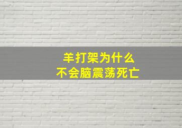 羊打架为什么不会脑震荡死亡