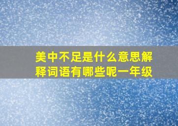 美中不足是什么意思解释词语有哪些呢一年级