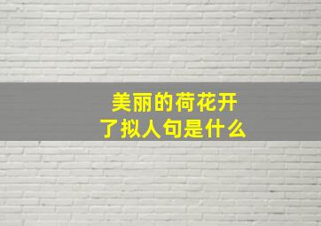 美丽的荷花开了拟人句是什么