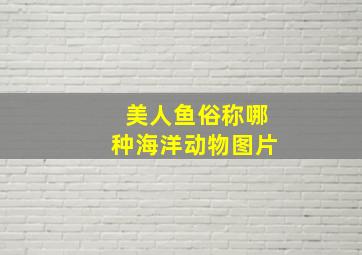 美人鱼俗称哪种海洋动物图片