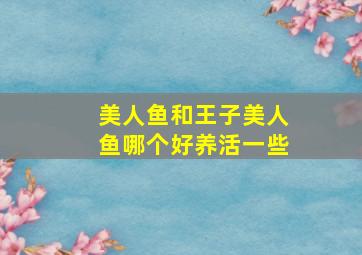 美人鱼和王子美人鱼哪个好养活一些