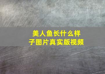 美人鱼长什么样子图片真实版视频