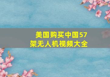 美国购买中国57架无人机视频大全